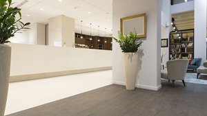 Ein eleganter Empfangsbereich mit einem hellen, modernen Design und großen Pflanzen in stilvollen Töpfen.