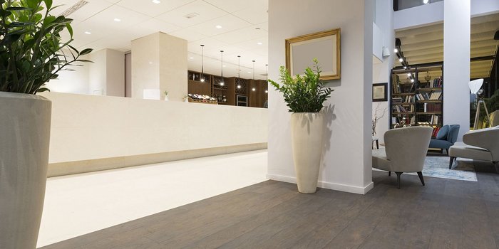 Ein eleganter Empfangsbereich mit einem hellen, modernen Design und großen Pflanzen in stilvollen Töpfen.